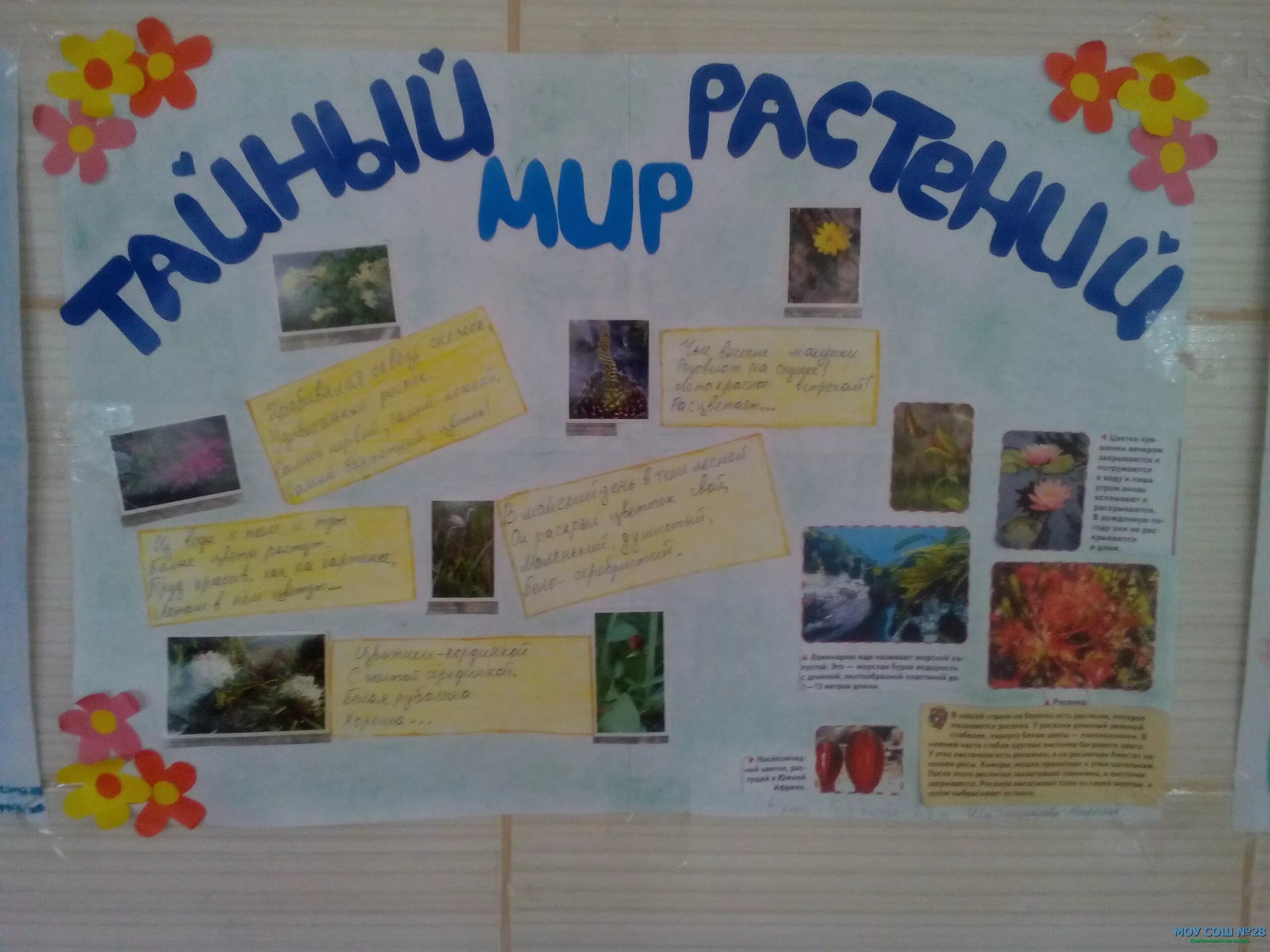 неделя биологии 7 класс. плакат на неделю биологии. неделя по биологии. план недели биологии. газета по биологии.