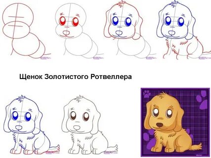 Собака пошаговое
