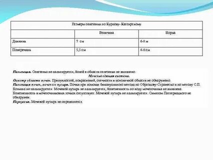Норма селезенки у детей