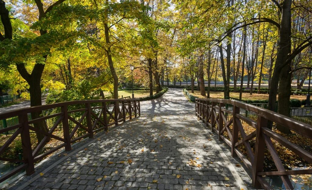 Парк коста владикавказ. Парк культуры и отдыха им. Парк имени хетагурова владикавказ. Владикавказ городской парк. Парк коста хетагурова владикавказ.