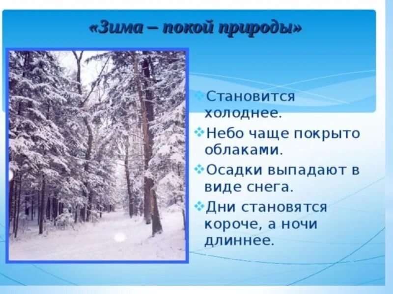 Зима в мире растений. Зима в мире растений 2 класс. Зима покой природы окружающий мир. Зима в мире растений 2 класс перспектива.
