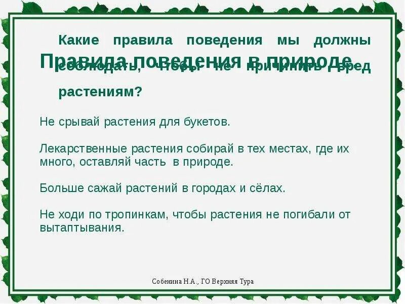Делается для того чтобы не. Что делается для охраны растений. охрана растений презентация. что делается для охраны этих растений. проект охрана растений 3 класс окружающий мир.