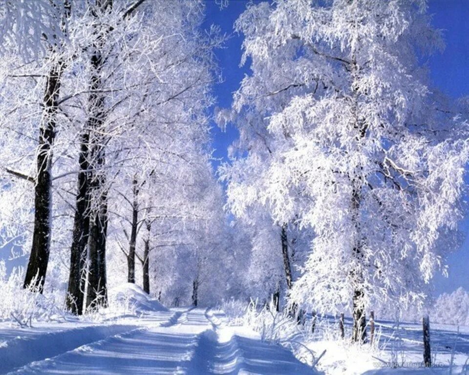 Снежный день на русском. Зимний пейзаж. Зимняя природа. Красивая зима. Красивая Снежная зима.