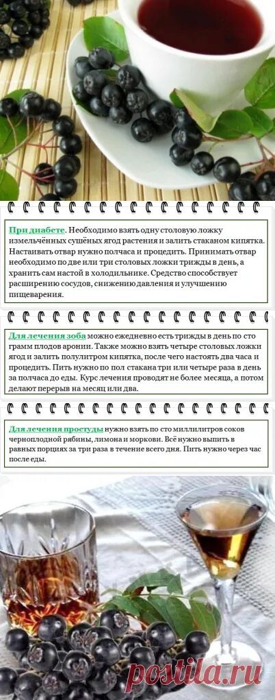 Сок черноплодки. Черноплодная рябина повышает или понижает давление. Чем полезна черноплодная рябина. Настойка черноплодная рябина польза. Настойка черноплодной рябины.
