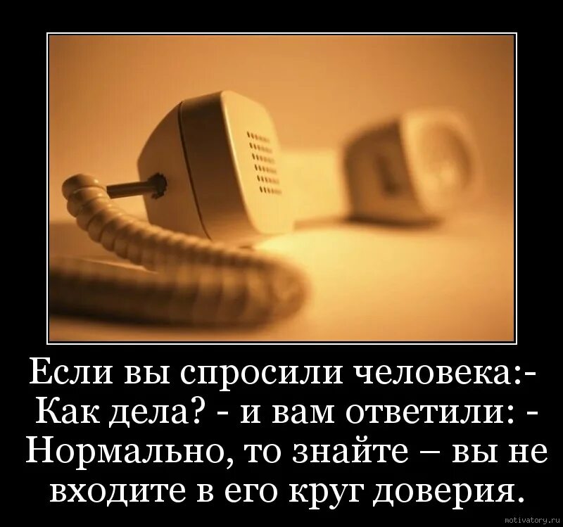 Акула позвони расскажи как твои. Если вы спросили человека как дела и вам. Афоризм как дела. Как отвечать людям на вопрос как дела. Как дела цитаты.