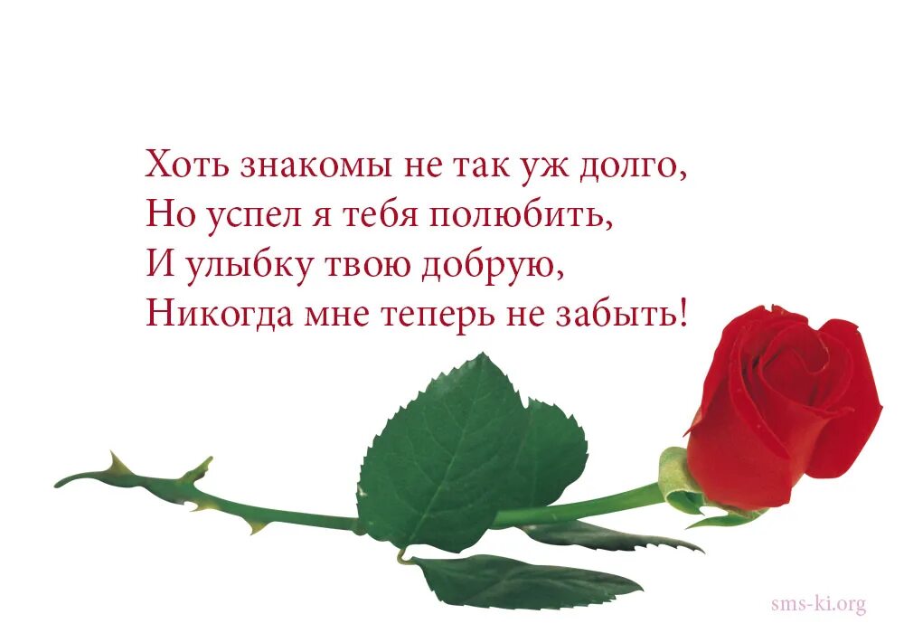 Что люблю тебя уже давно