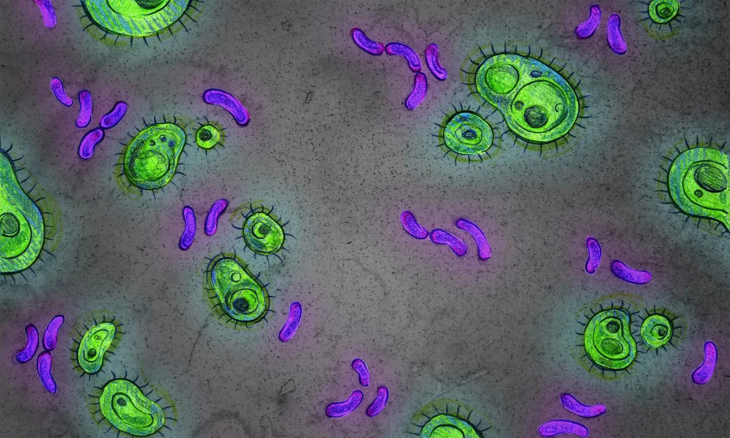 Перерабатывающие бактерии. Бактерии. Красивые бактерии. Изображение микробов. Микробы и бактерии.