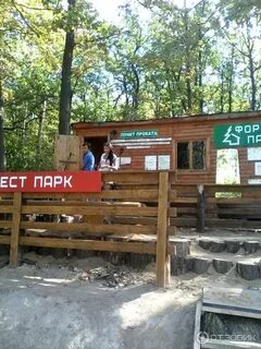 Форест парк отзывы