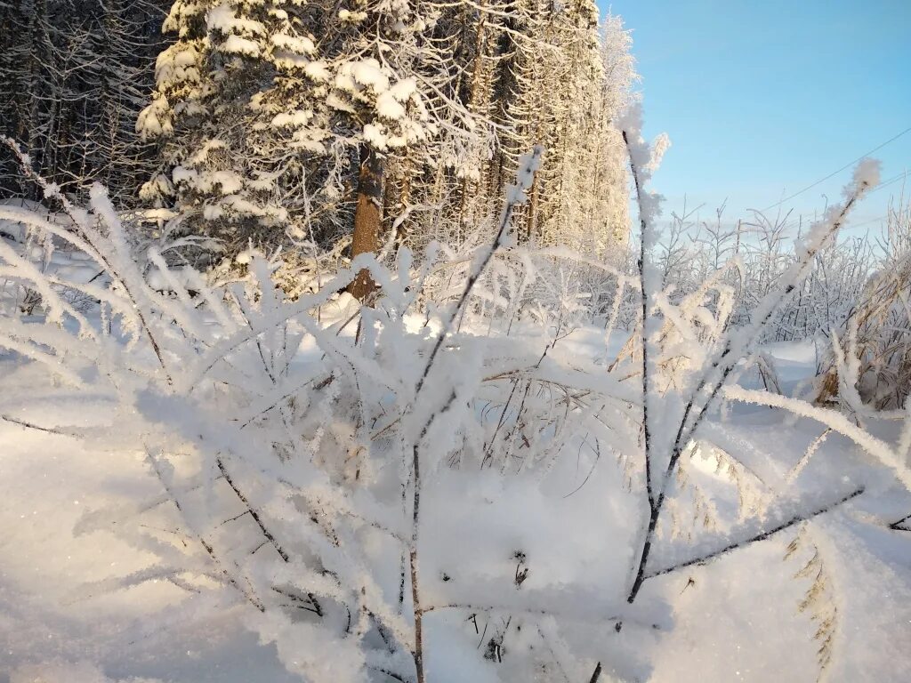 Погода вуктыл цгмс. Сыктывкар климат. Коми ЦГМС Сыктывкар. Сыктывкар погода зимой. Коми ЦГМС Сыктывкар погода.