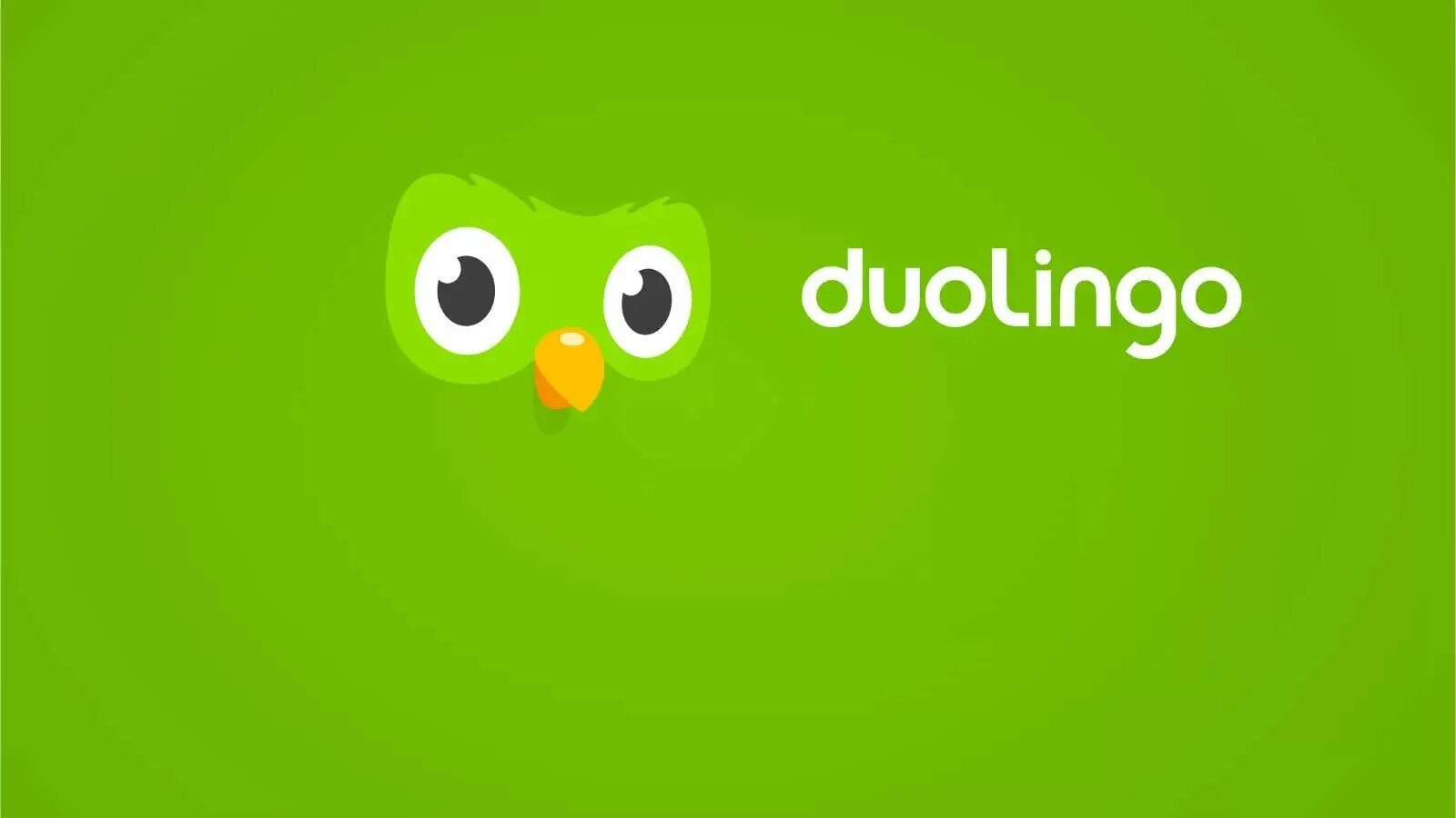 Duolingo отзывы. Дуолинго. дуолинго приложение. duolingo английский язык. совенок duolingo.