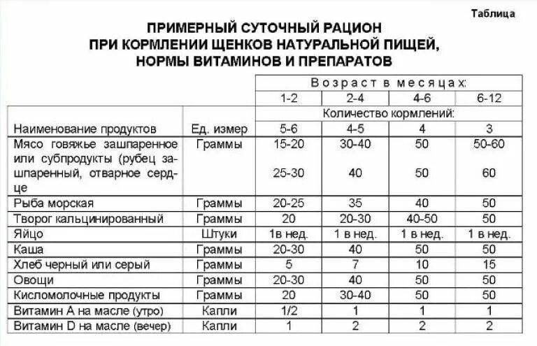 Через сколько кормить собаку. Норма еды для щенка 1.5 месяца. Рацион питания щенка 3 месяца. Суточный рацион для щенков мелких пород. Норма кормления щенка лабрадора в 1 месяц.