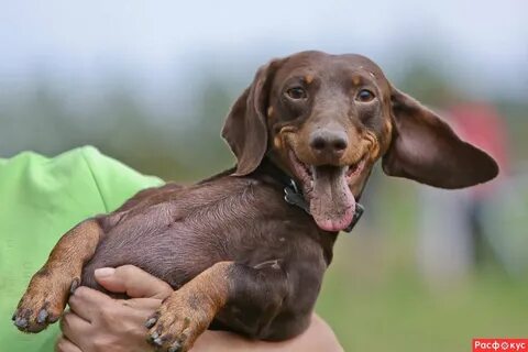  Новые фото. 