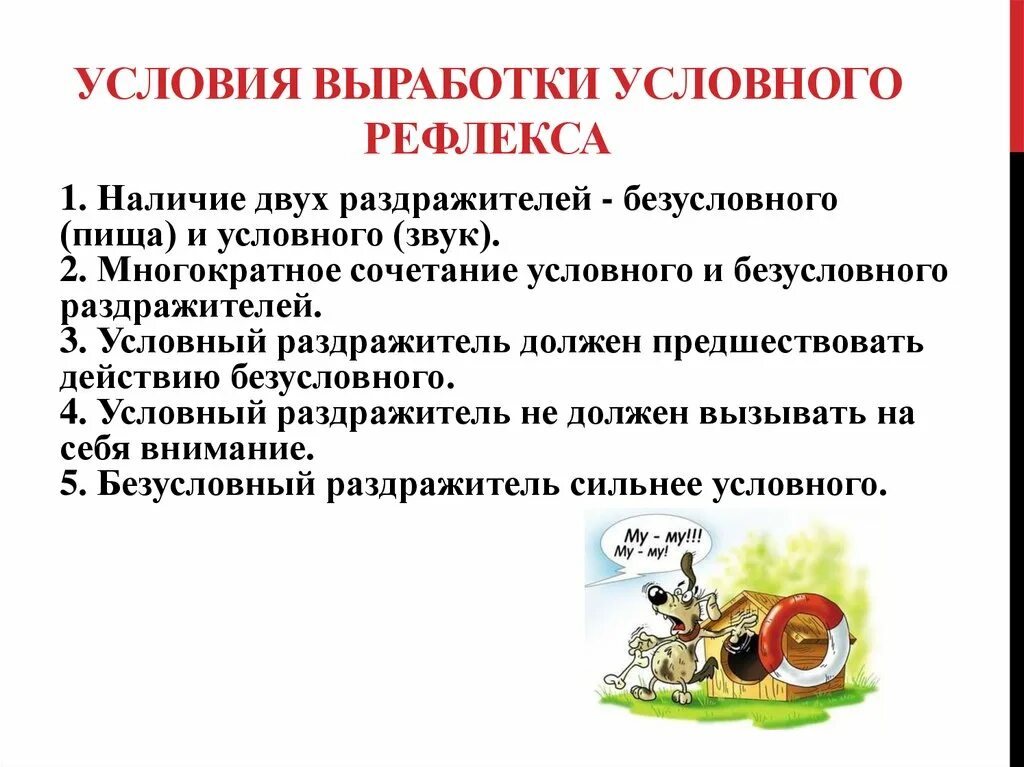 Условия выработки условных рефлексов. Условия условного рефлекса. Условия необходимые для выработки условного рефлекса. Что нужно для выработки условного рефлекса.