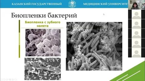 Биопленка полости рта