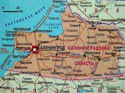 Светлый калининградская область на карте