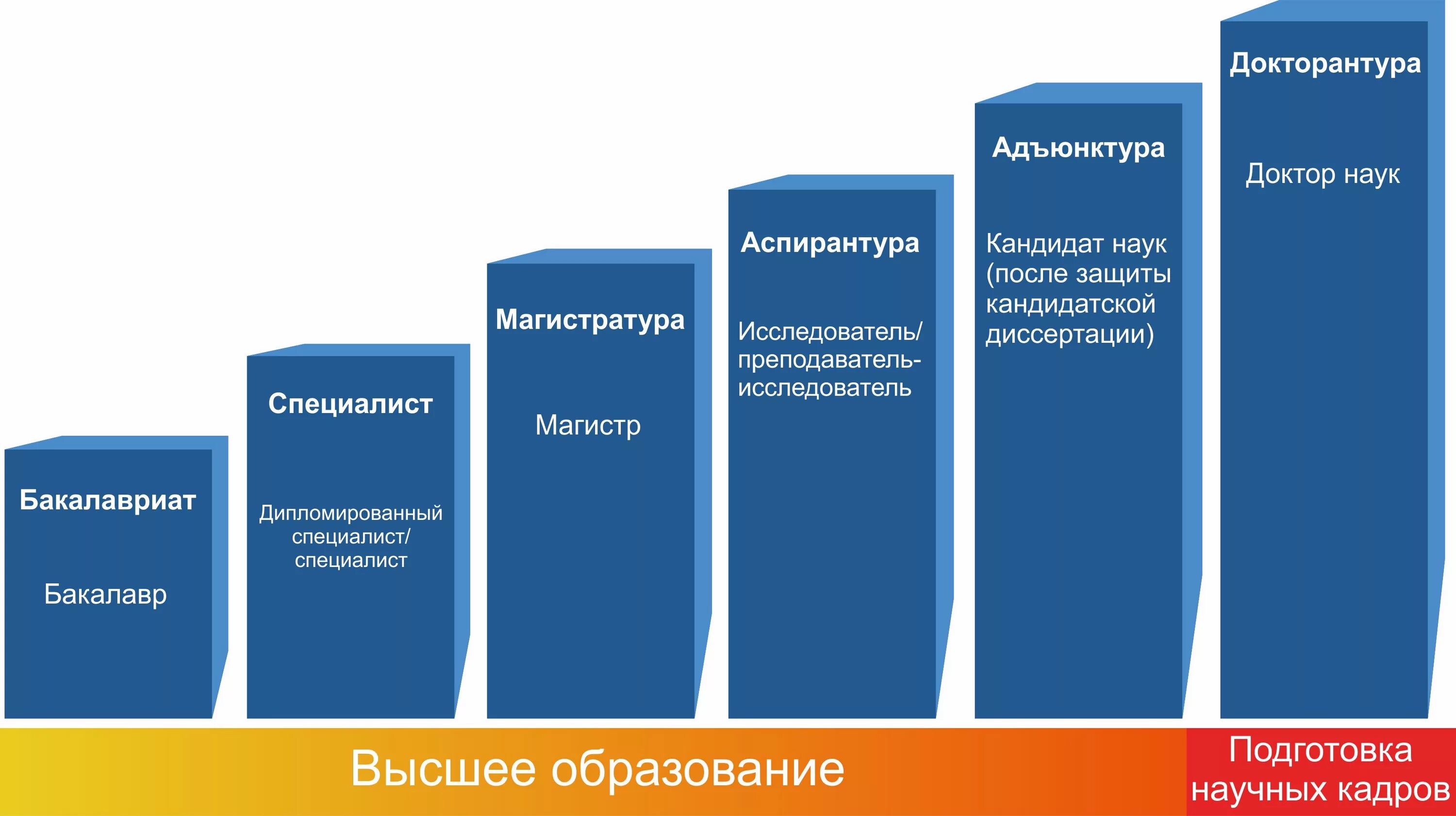 К какому образованию относится аспирантура. Ступени Высш образования. Система высшего образования в России. Ступени высшего образования в России. Структура высшего образования в России.