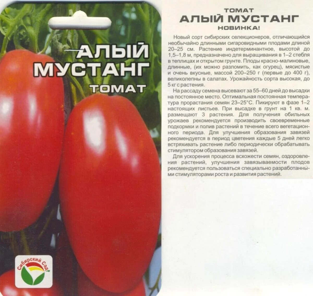 Помидоры описание фото. Сорта помидор алый Мустанг. СИБСАД томат алый Мустанг. Семена Сибирский сад томат алый Мустанг 20шт,. Алый Мустанг 20шт томат (Сиб сад).
