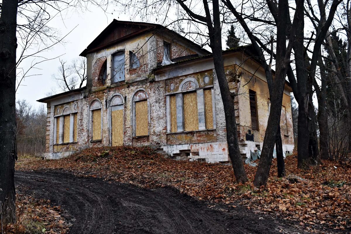 Погода ляхово. Усадьба Ляхово Московская область. Подмосковной усадьбе Ляхово. Заброшенная усадьба Ляхово. Усадьба Ляхово Домодедовский район, Московская область.