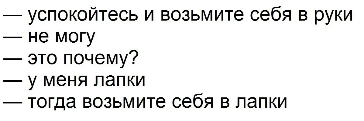 Возьми в лапки. Возьмите себя в руки. Успокойтесь возьмите себя в руки. Возьми себя в лапки. Успокойся возьми себя в руки.