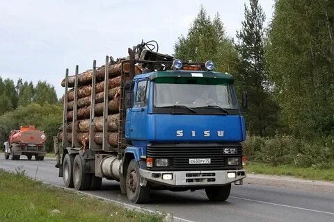 Sisu перевод