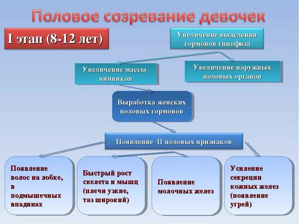 Этапы полового созревания девочек. Этапы полового развития мальчика. Половое созревание у мальчиков. Период полового созревания у мальчиков. Что значит пубертатный период