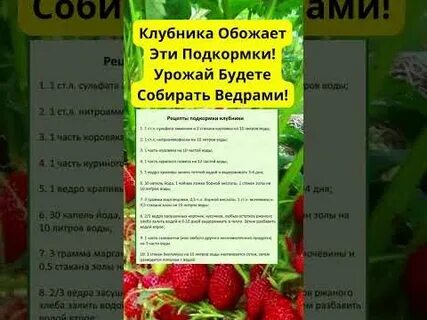 Маг бор для клубники