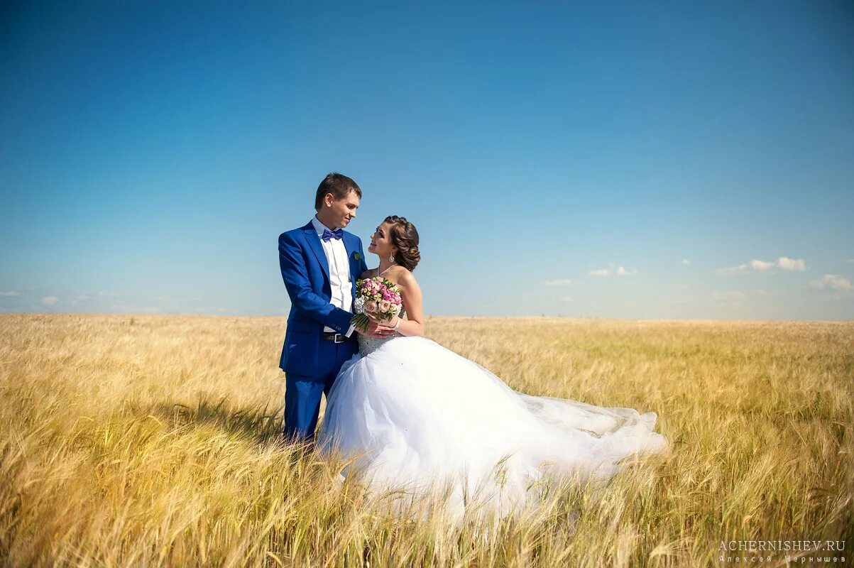 Свадьба в поле. Свадебная фотосессия в поле. Молодожены в поле. Свадебная фотосессия в поле летом. Брачное поле