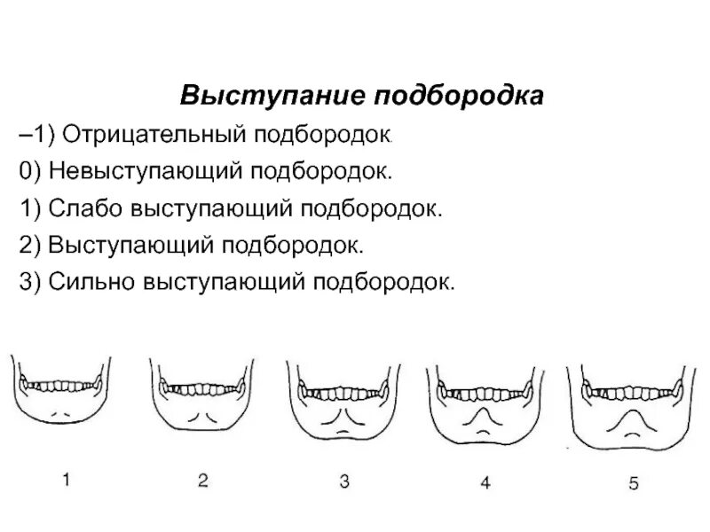 Мужчин характер подбородок. Типы подбородков. Типы формы подбородков. Форма подбородка. Форма подбородок человека.