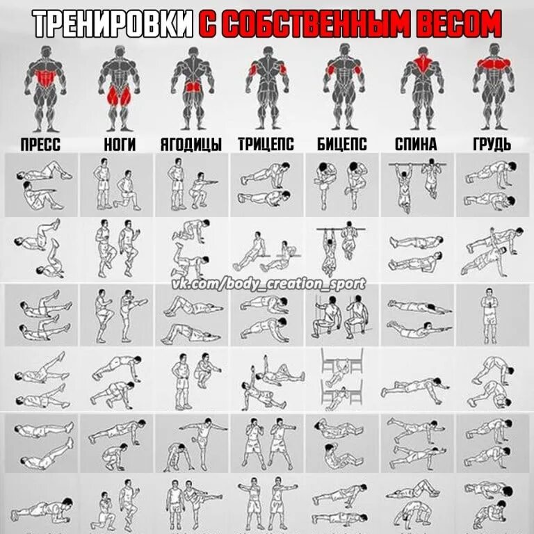 Правильное тренировки для мужчин. Упражнения с собственным весом. Упражнение со своим ве мом. Упражнения со своим весом. Тренировка для всех групп мышц.