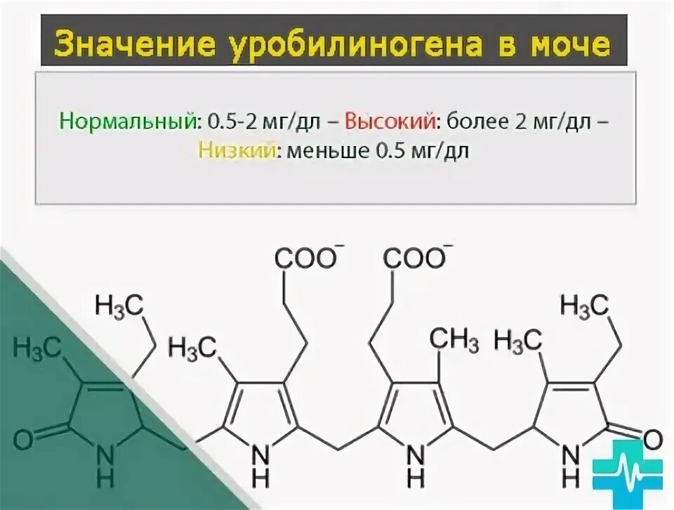 Уробилиноген норма у мужчин. Уробилиноген в моче норма. Уробилиноген в моче повышен. Уробилиноген в моче 0. Норма уробилиногена в моче.