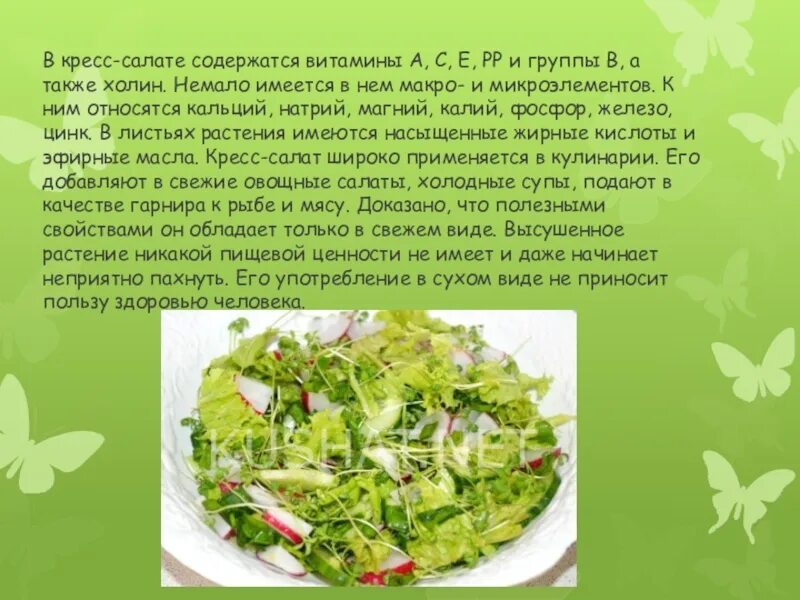 Какие витамины содержатся в салате. Салат кресс-салат. витамины в кресс салате. листья салата кресс. витамины в зелени салата.