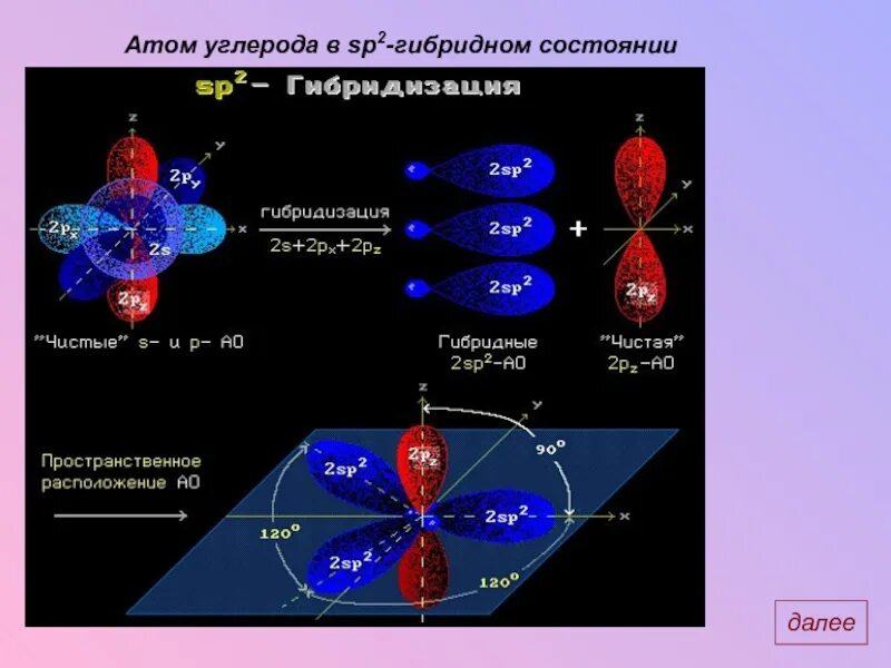 Гибридные состояния атома углерода sp3 sp2 SP. Sp2 гибридные орбитали углерода. Атомы углерода в сп2 гибридизации. Атом углерода в состоянии sp2-гибридизации. Состояние атома углерода в алканах