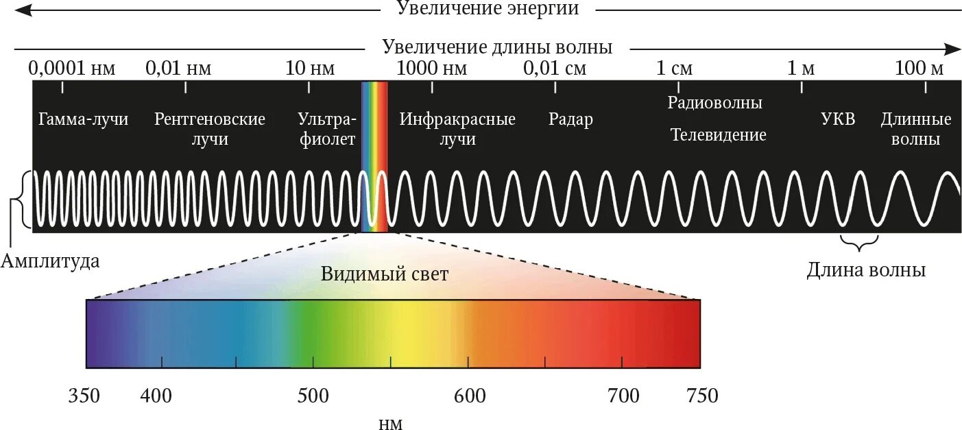 Сколько максимум герц. Длины волн видимого спектра. Длины волн электромагнитного спектра. Диапазон волн длин волн видимой части спектра. Электромагнитный спектр с длинами волн.