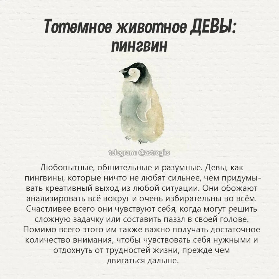тотемное животное стрельца. гороскоп тотемных животных. тотемное животное 1994 года рождения. тотемное животное. тотемное животное как определить своего зверя.