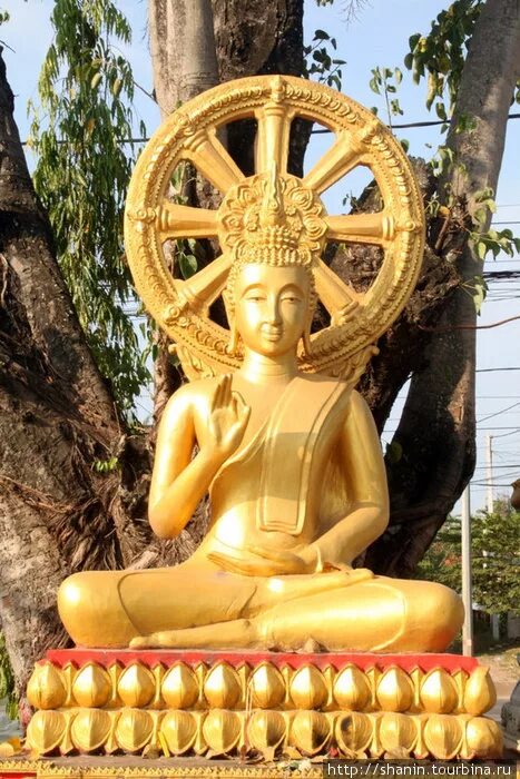 Дхарма в индии. Колесо Дхармы (Дхармачакра). Колесо Дхармачакра буддизм. Скульптура Будды Дхармачакра. Колесо Дхармы Будды.