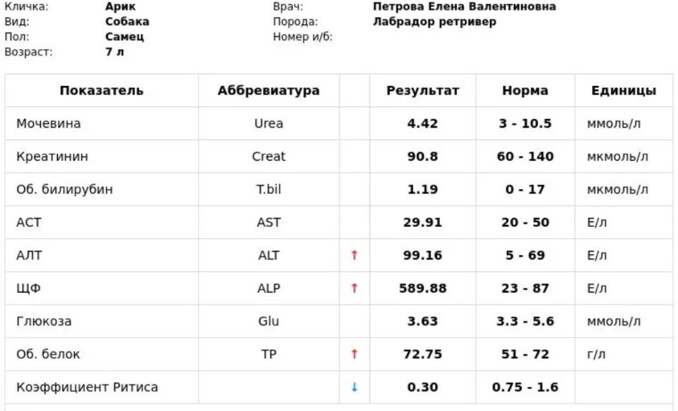 Аст норма у мужчин после 60