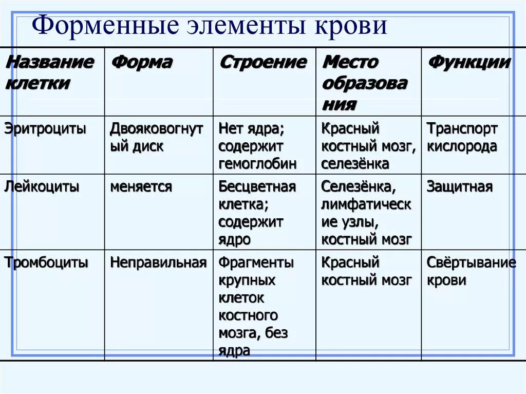 Функции форменных элементов крови таблица. Состав крови форменные элементы. Характеристика форменных элементов крови таблица по биологии 8 класс. Строение и функции форменных элементов крови.