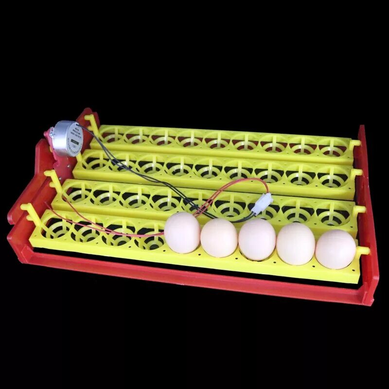 Инкубатор на 36 яиц автоматический. Инкубатор Phylina 36 яиц. Лоток 88 яйца инкубатор. Лотки для перепелиных яиц в инкубатор 30×30.