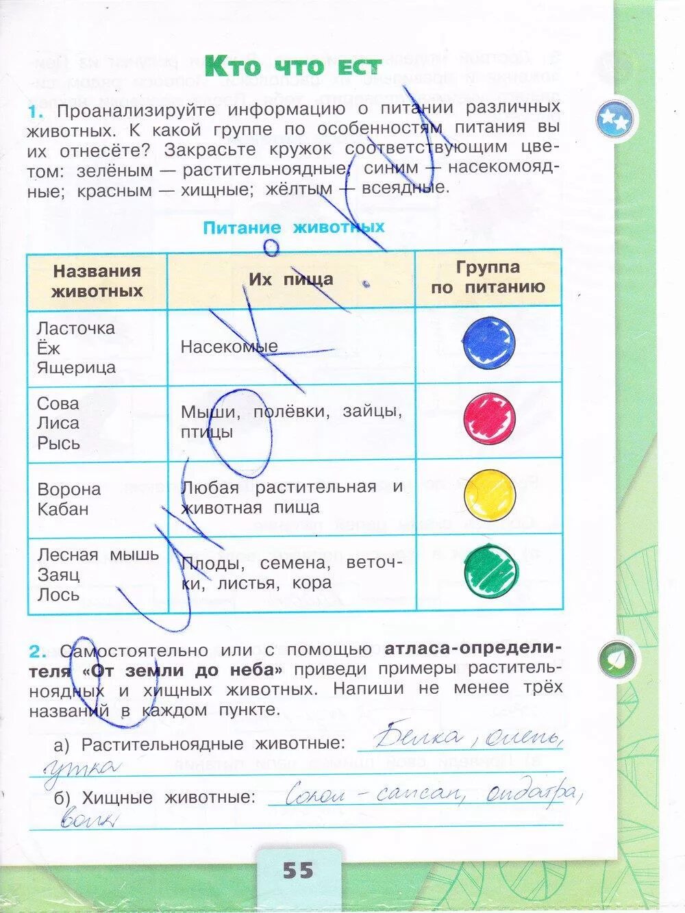 Окружающий тетрадь 3 класс