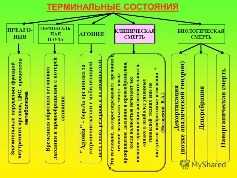 Стадии терминального состояния и их клинические проявления. Классификация терминальных состояний таблица. Характеристика терминальных состояний таблица. Стадии терминального состояния таблица.