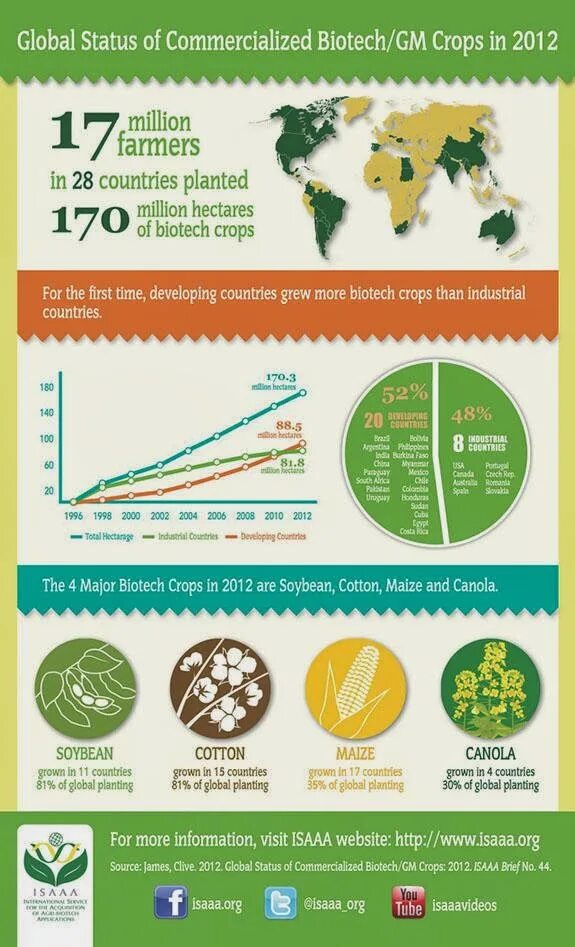 Инфографика растения. GMO Crops and non GMO Crop field. Interesting facts about uk Agriculture. Isaaa. A growing country