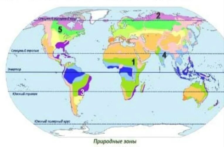 По карте природных зон определите на каких