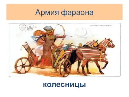 Войско фараонов