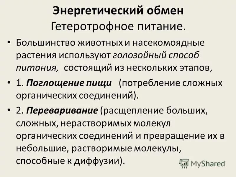 голозойный тип питания. голозойный способ питания. голофитный способ питания. разновидности гетеротрофного питания. голозойный и голофитный тип питания.