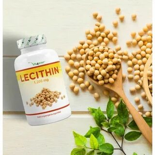 Lecithin капсулы