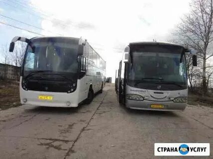 Железногорск москва автобус