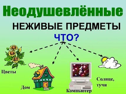Дерево неодушевленное