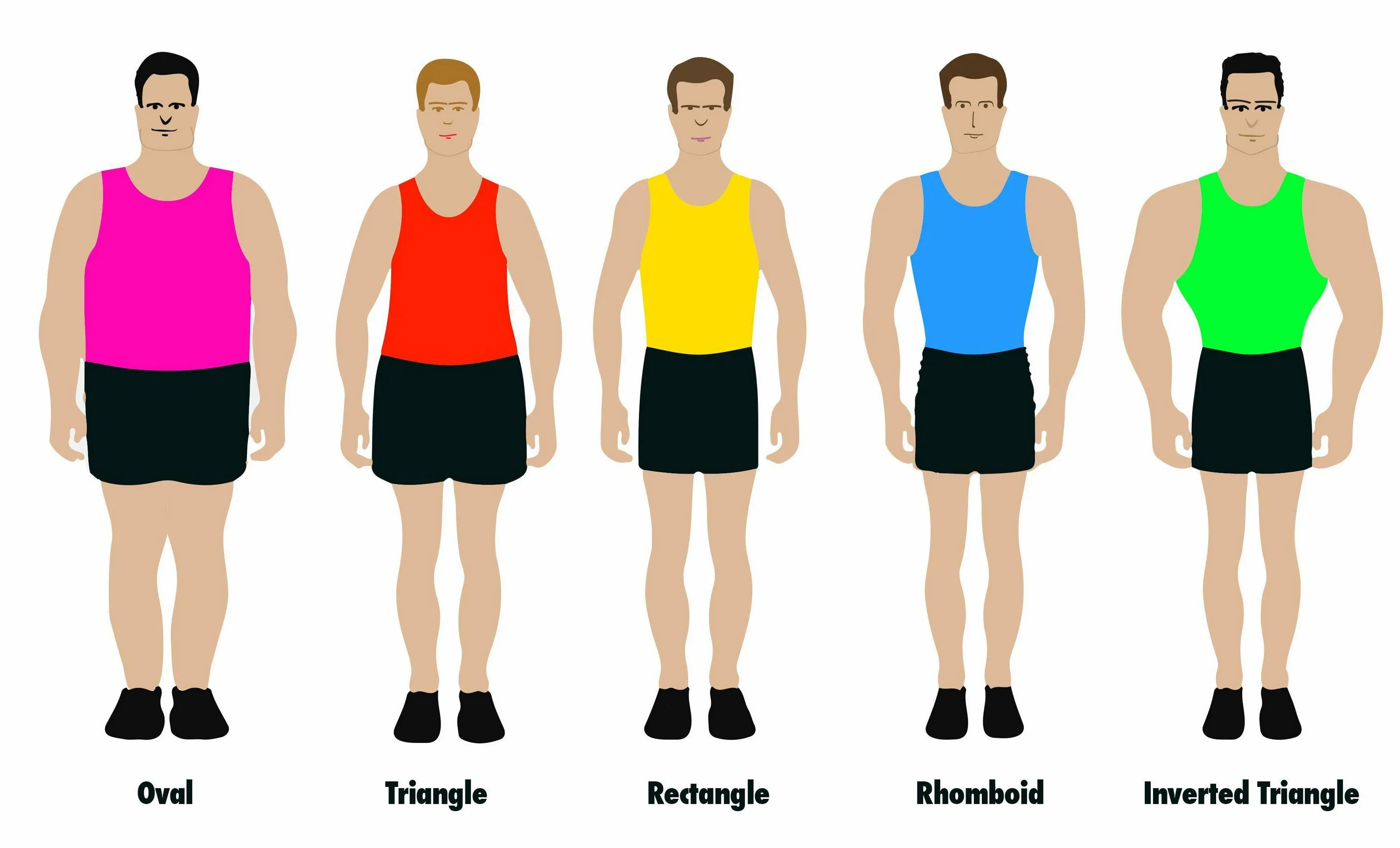 Виды мужской фигуры. Узкие плечи у мужчин. Типы мужских фигур. Широкие плечи и узкие бедра у мужчины. Мужская фигура с широкими плечами.