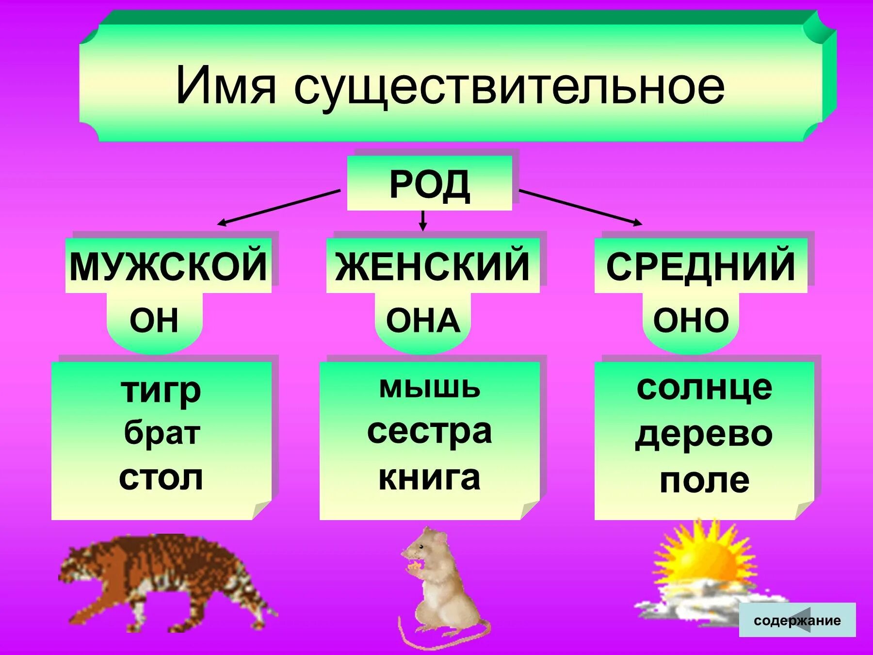 Розовый имя существительное. Род в русском языке таблица имен существительных. Од имен существительных. Имя существительное род. Род имени существительного.