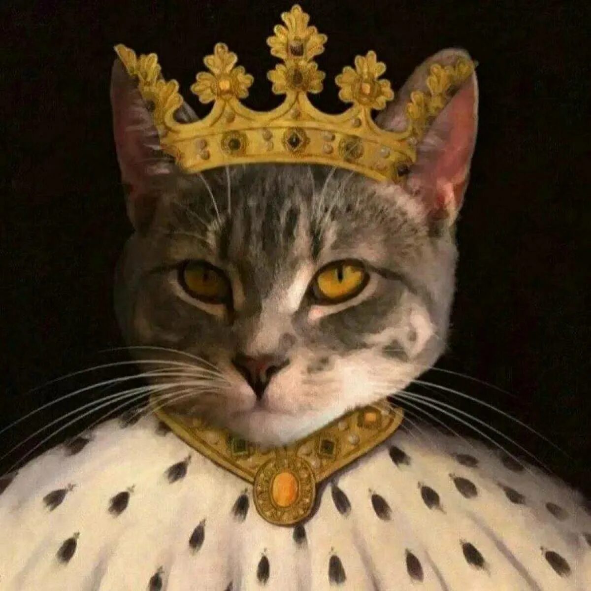 Кошечки королевы. Кот царь. Кот в короне. Кошка с короной на голове. Королевский кот.